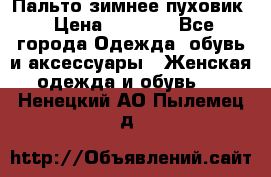 Пальто зимнее пуховик › Цена ­ 2 500 - Все города Одежда, обувь и аксессуары » Женская одежда и обувь   . Ненецкий АО,Пылемец д.